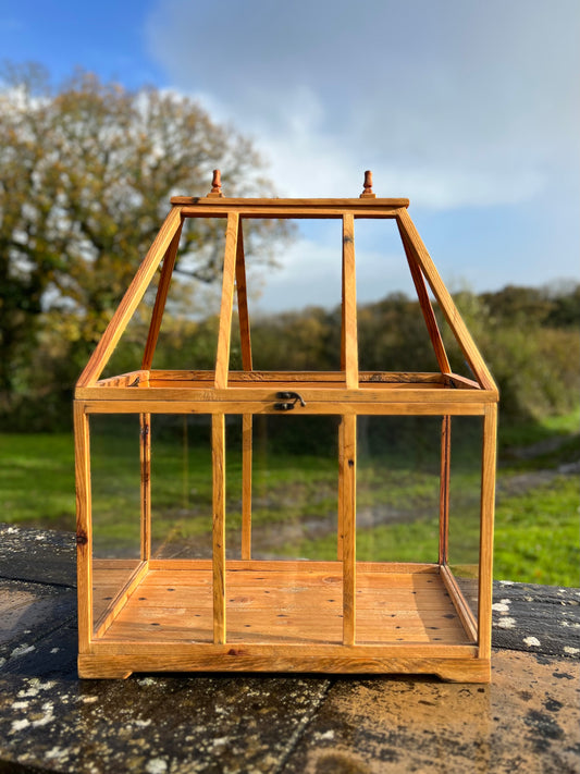 Handcrafted Wood and Glass Terrarium